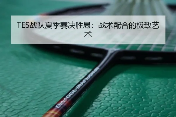 TES战队夏季赛决胜局:战术配合的极致艺术